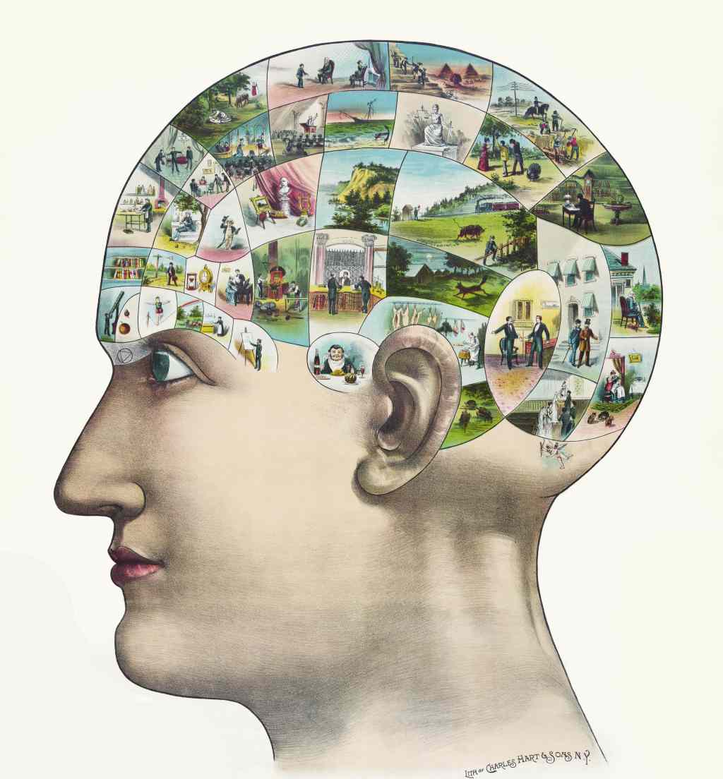 The Causal Imperative